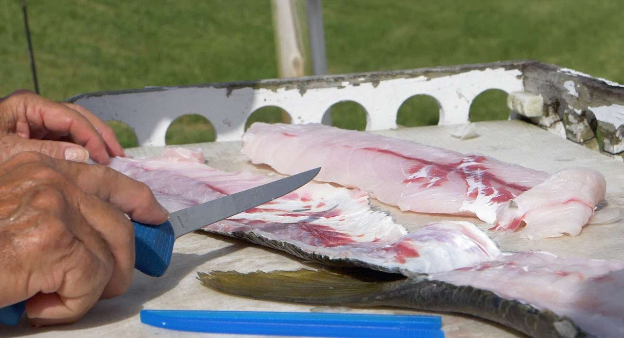 Cuda AquaTuff Fillet Knifes With Blade Cover