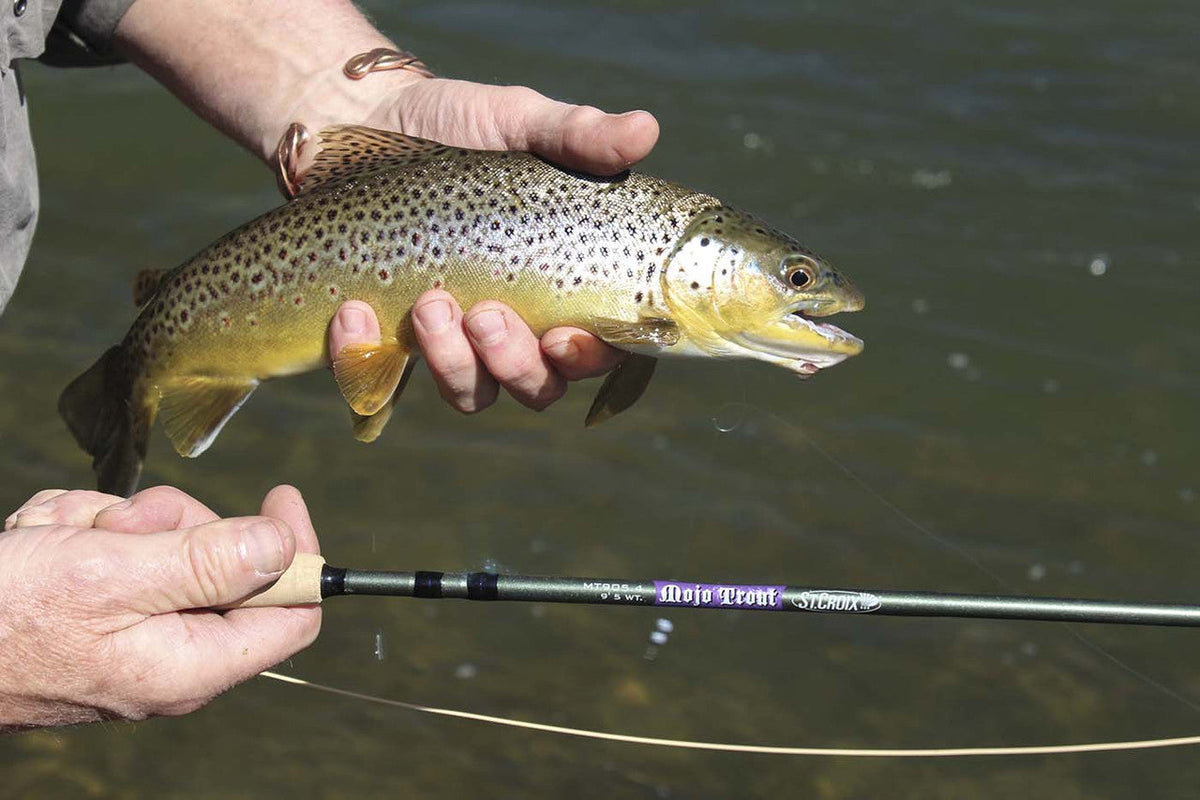 St. Croix Mojo Trout Fly Rods