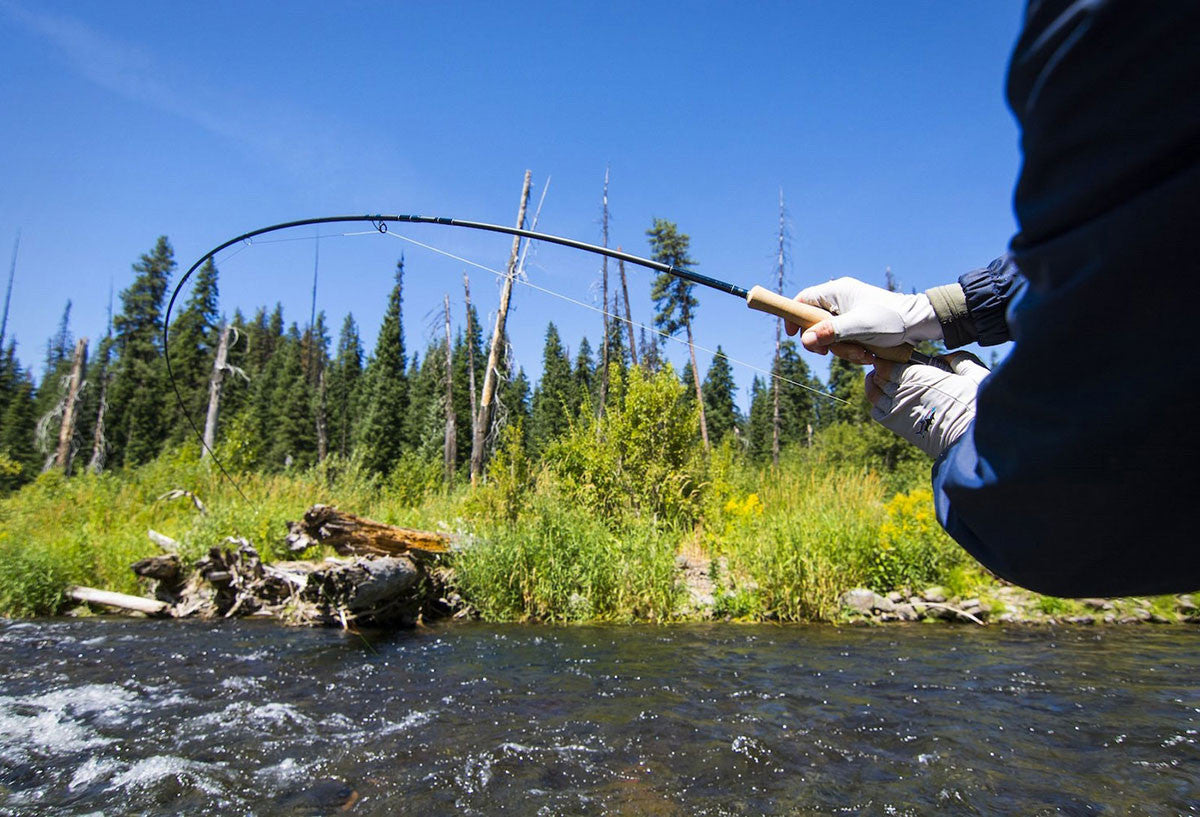 Thomas & Thomas Avantt Series Fly Rods