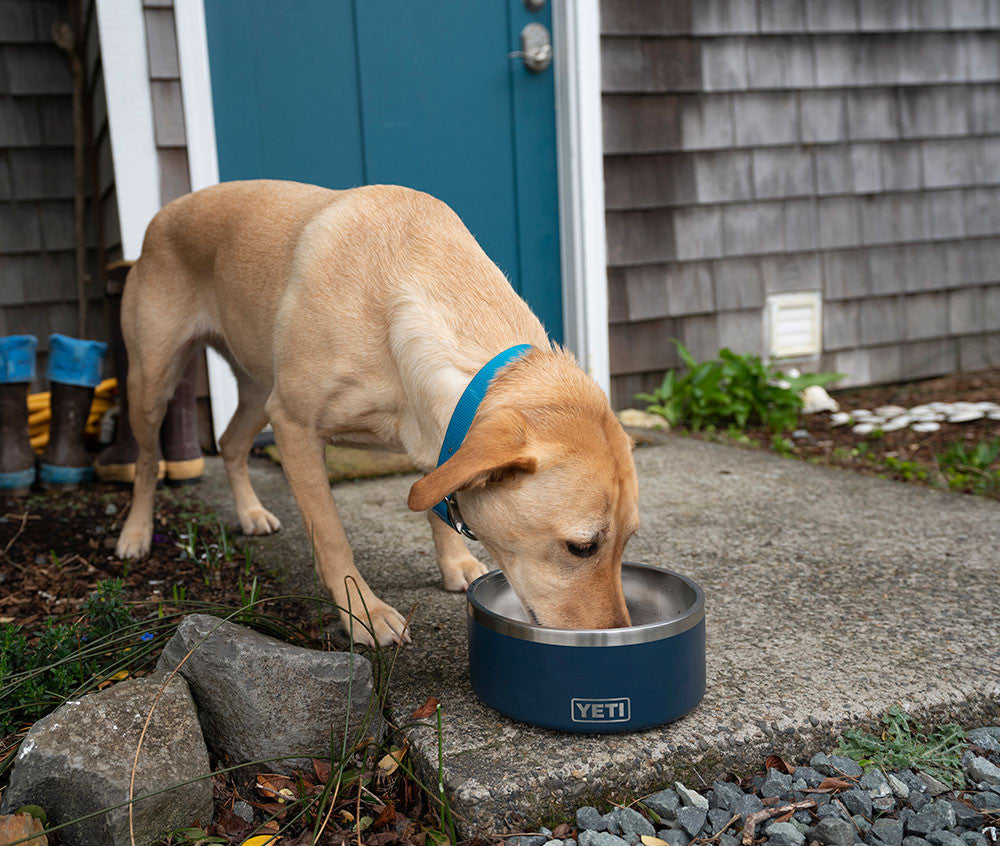 YETI Boomer Dog Bowls