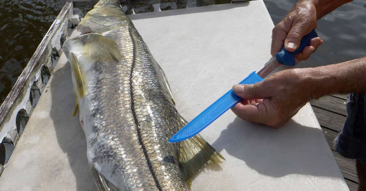  Cuda AquaTuff Fillet Knifes With Blade Cover