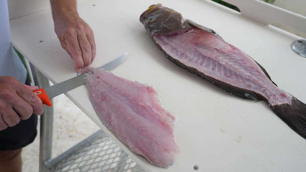  Dexter-Russell DEXTREME 8in Max Flex Fillet Knife