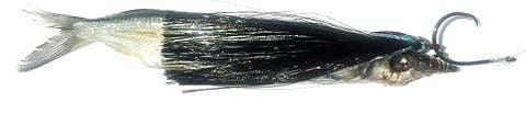  Fish DownSea 6in Party Skirt Lures