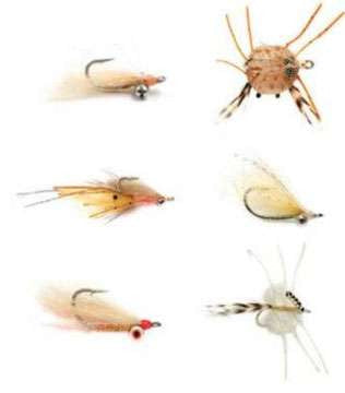  Fulling Mill Tropics Selection