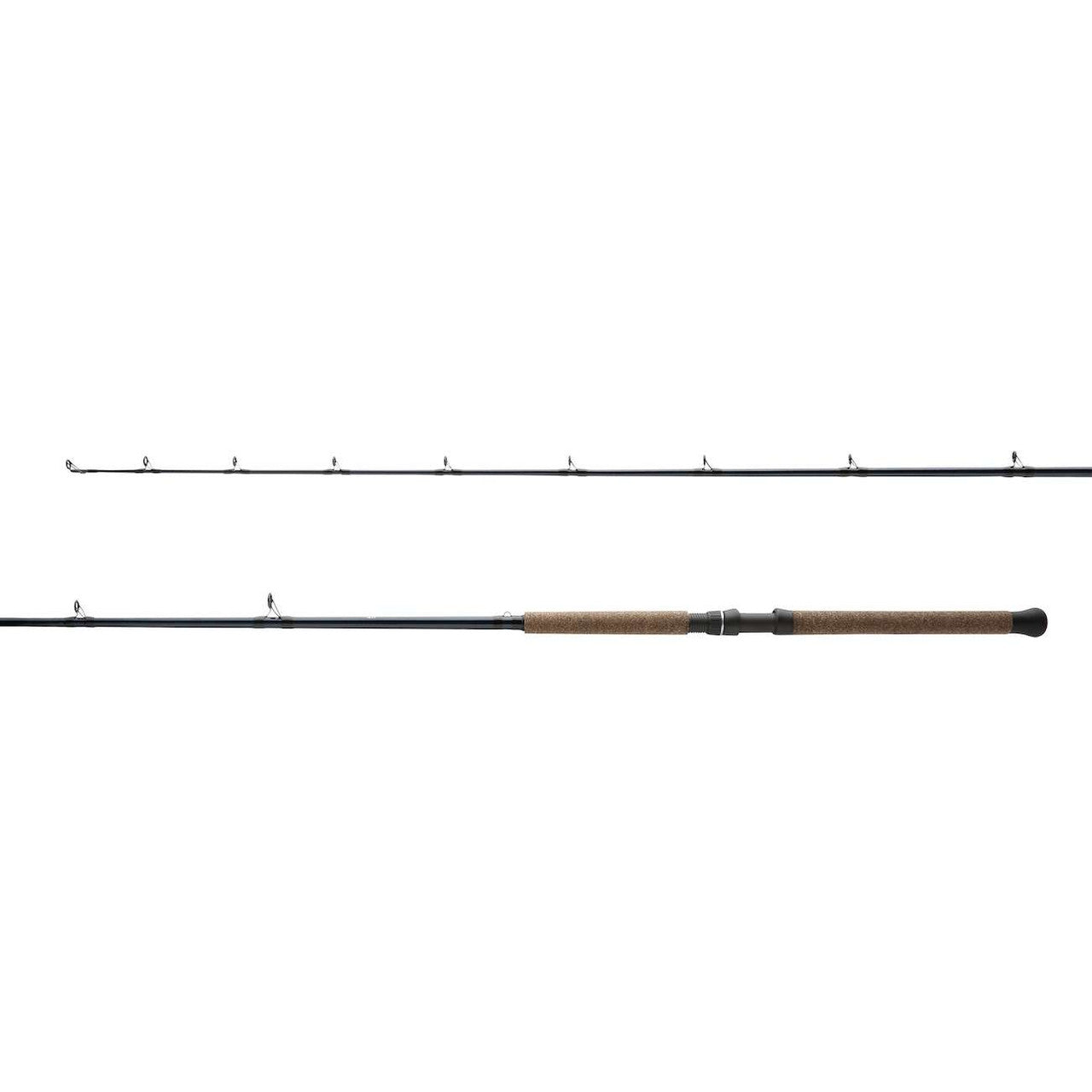 Shimano Technium Sturgeon Conventional Rods