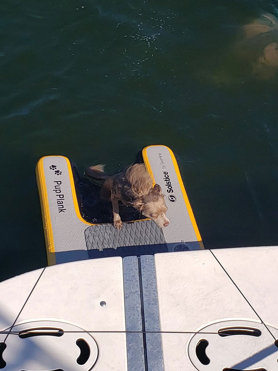  Solstice Watersports Pup Plank Inflatable Dog Ramp