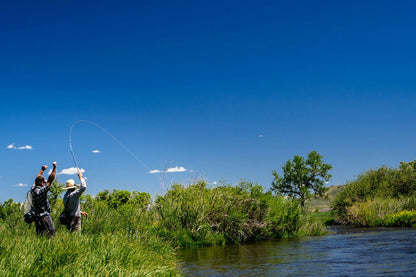  Thomas &amp; Thomas Lotic Series Fly Rods