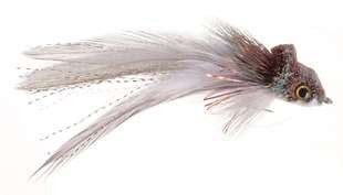 Umpqua Swimming Baitfish