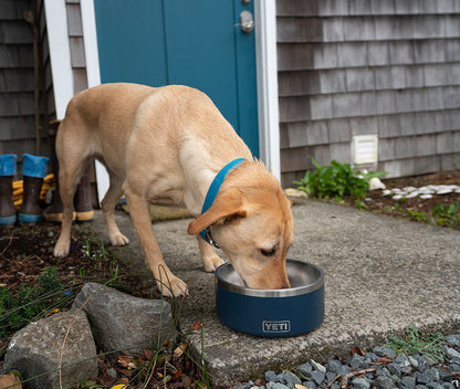  YETI Boomer Dog Bowls